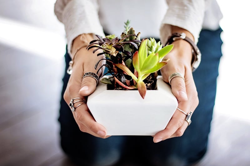 Choosing the right pot