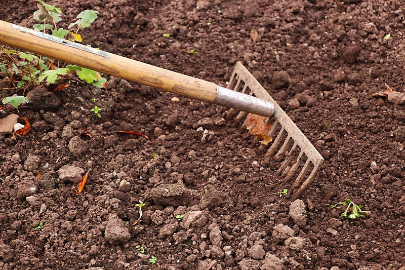 Gardening Workshop